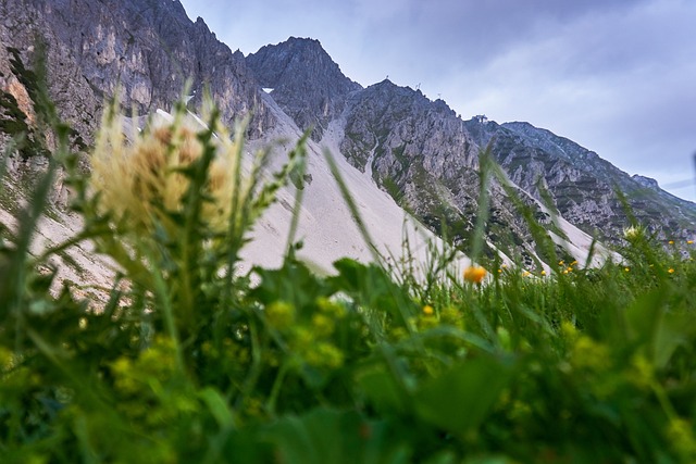 Wandern in Innsbruck und Umgebung: Ein Paradies für Outdoor-Enthusiasten